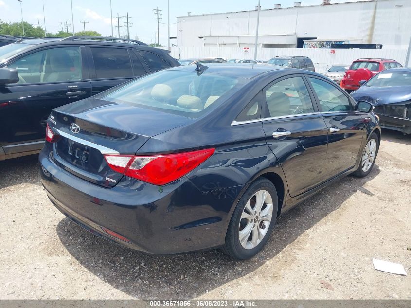 2013 HYUNDAI SONATA LIMITED - 5NPEC4AC8DH772087