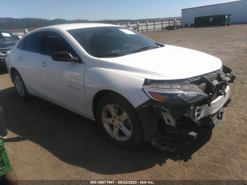 2019 CHEVROLET MALIBU LS - 1G1ZB5ST1KF113244