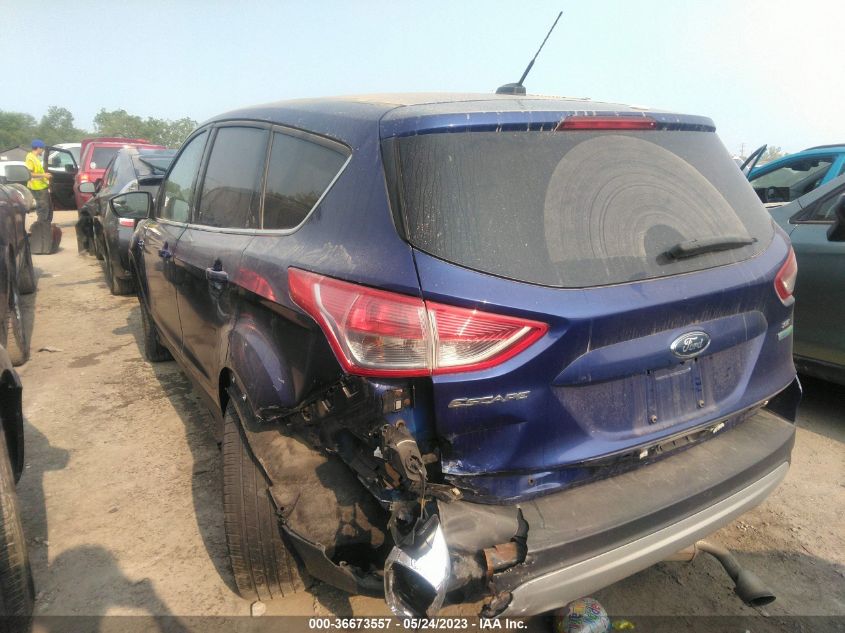 2014 FORD ESCAPE SE - 1FMCU0GX8EUC91296