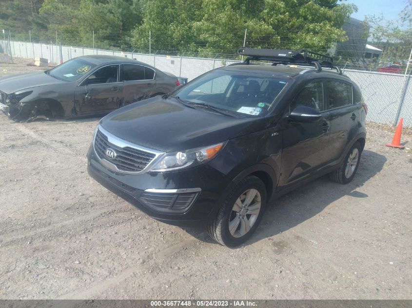 2013 KIA SPORTAGE LX - KNDPBCA22D7355212