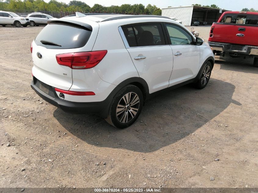 2016 KIA SPORTAGE EX - KNDPC3AC4G7836332