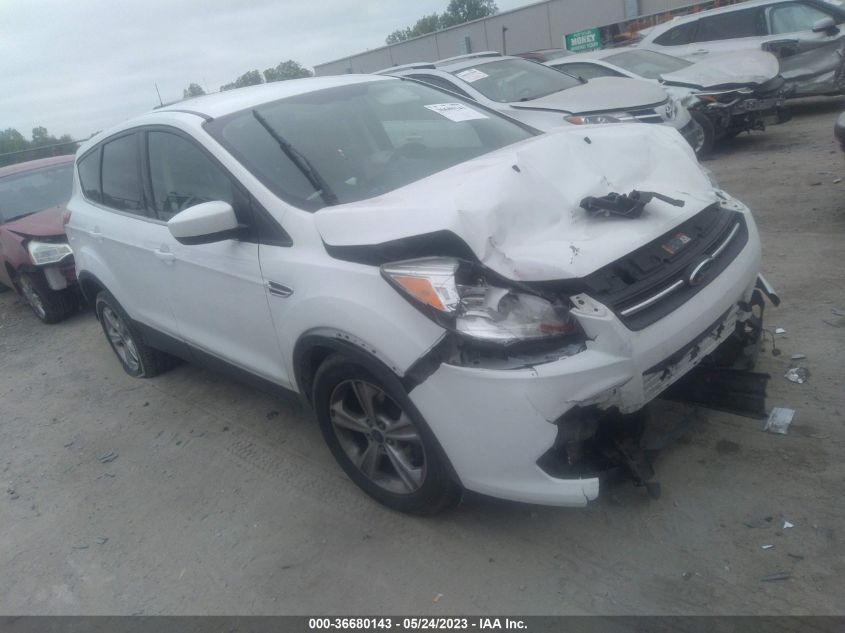 2014 FORD ESCAPE SE - 1FMCU0GX9EUD11653