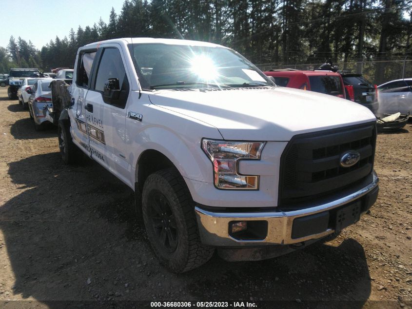 2015 FORD F-150 XLT/XL/LARIAT - 1FTEW1EP9FKD90979