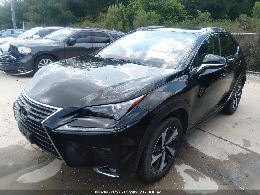 2021 LEXUS NX NX 300H - JTJGJRDZ7M2148906
