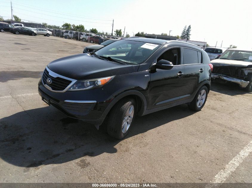 2013 KIA SPORTAGE LX - KNDPBCA26D7407053