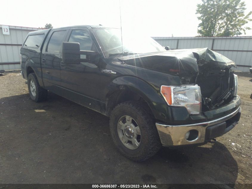 2013 FORD F-150 XL/XLT/FX4/LARIAT - 1FTFW1EF7DFB45776