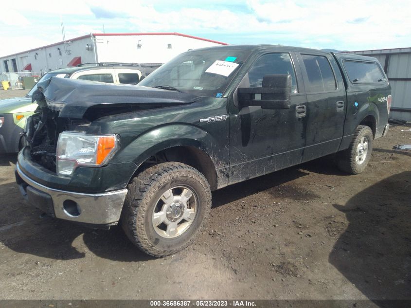 2013 FORD F-150 XL/XLT/FX4/LARIAT - 1FTFW1EF7DFB45776