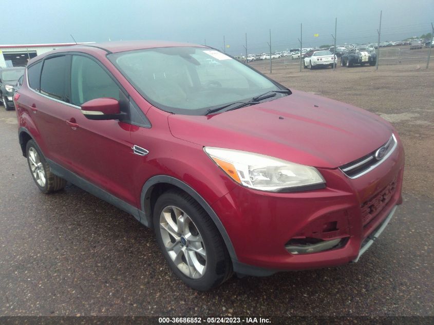 2013 FORD ESCAPE SEL - 1FMCU9H99DUD80720