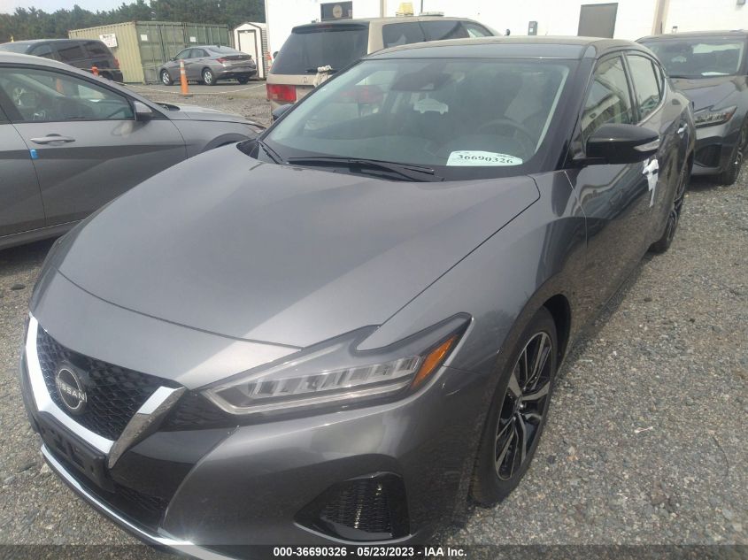 2023 NISSAN MAXIMA SV - 1N4AA6CV1PC509900