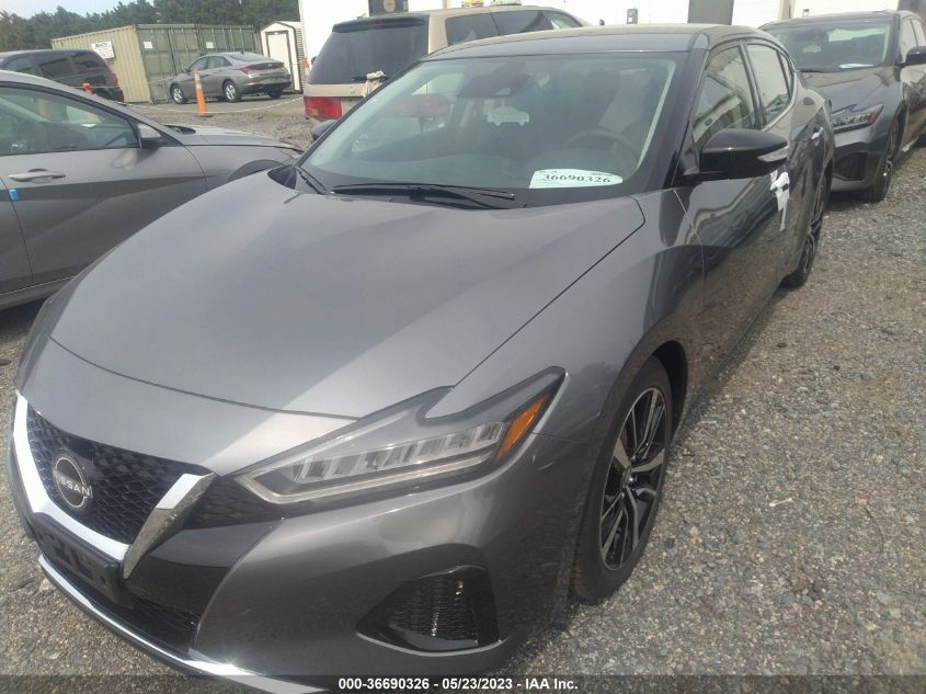 2023 NISSAN MAXIMA SV - 1N4AA6CV1PC509900