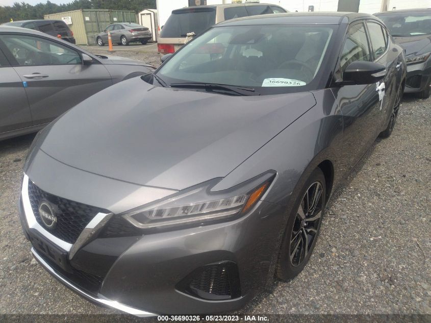 2023 NISSAN MAXIMA SV - 1N4AA6CV1PC509900