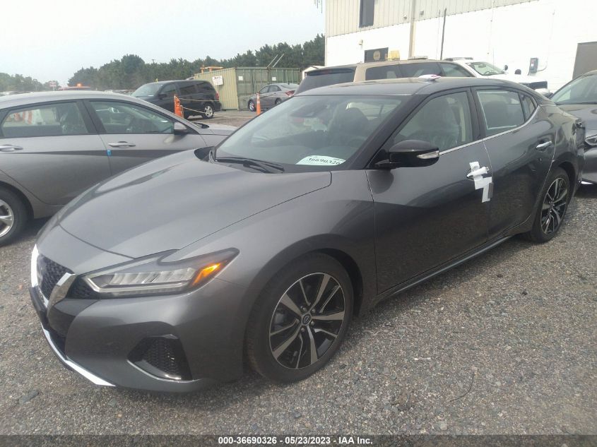 2023 NISSAN MAXIMA SV - 1N4AA6CV1PC509900