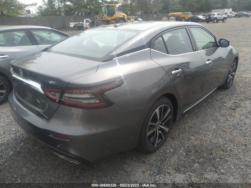 2023 NISSAN MAXIMA SV - 1N4AA6CV1PC509900