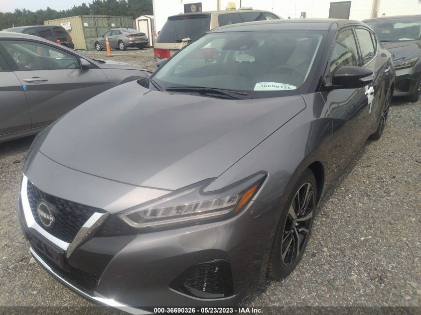 2023 NISSAN MAXIMA SV - 1N4AA6CV1PC509900