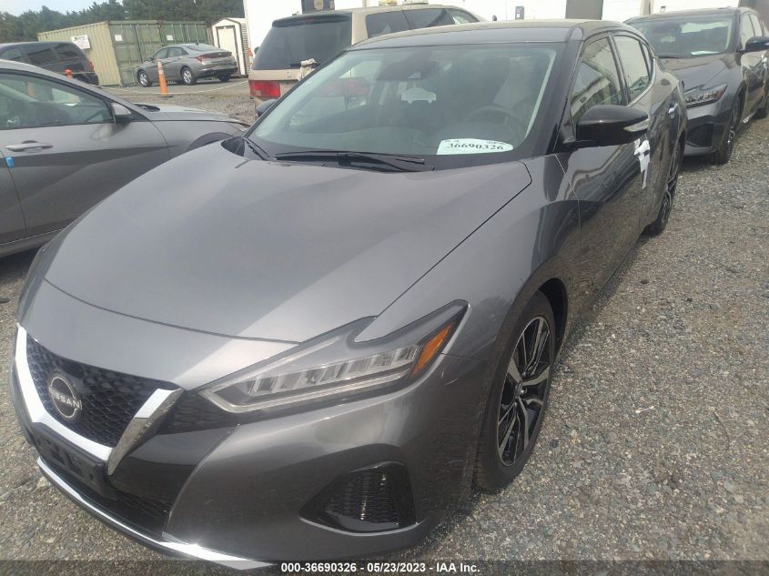 2023 NISSAN MAXIMA SV - 1N4AA6CV1PC509900