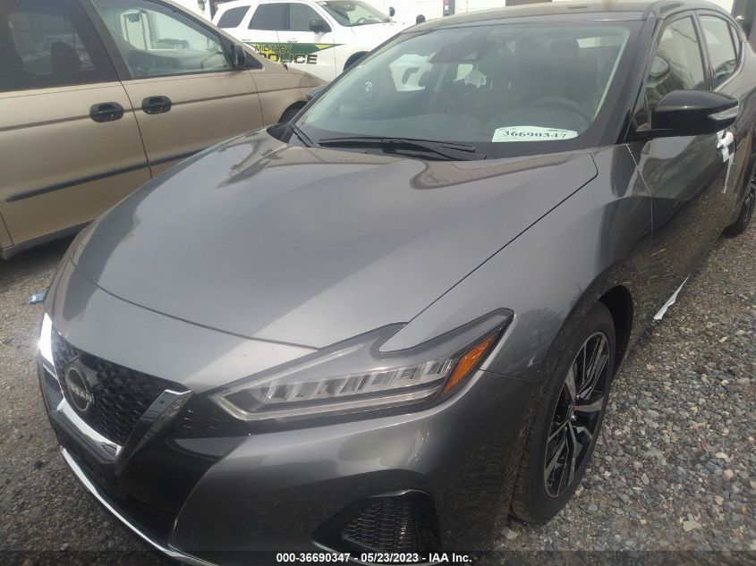 2023 NISSAN MAXIMA SV - 1N4AA6CV5PC509821