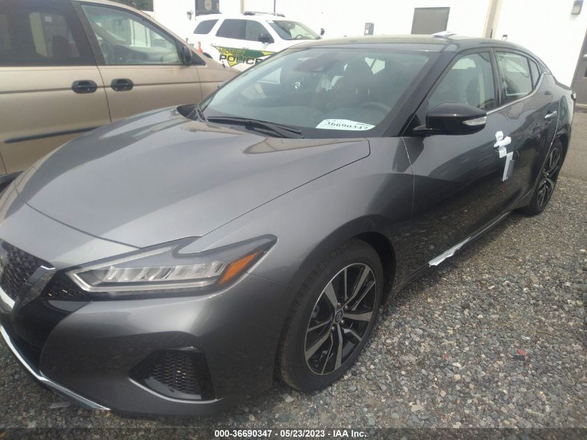 2023 NISSAN MAXIMA SV - 1N4AA6CV5PC509821