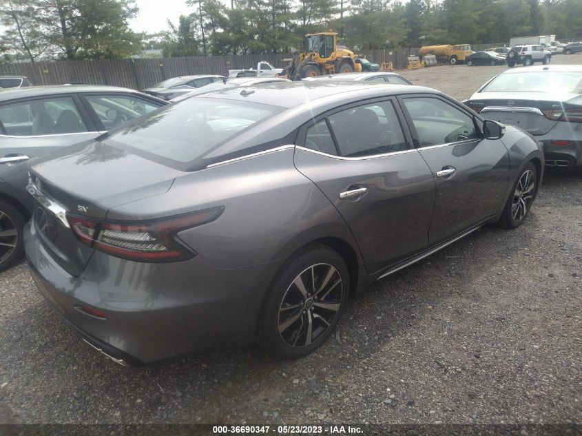 2023 NISSAN MAXIMA SV - 1N4AA6CV5PC509821