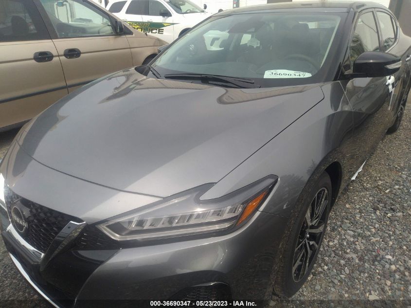 2023 NISSAN MAXIMA SV - 1N4AA6CV5PC509821