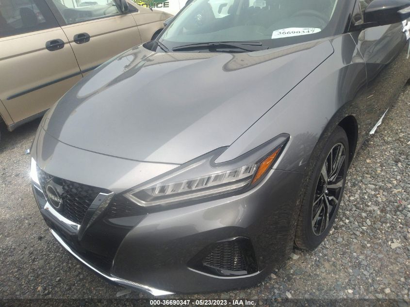 2023 NISSAN MAXIMA SV - 1N4AA6CV5PC509821