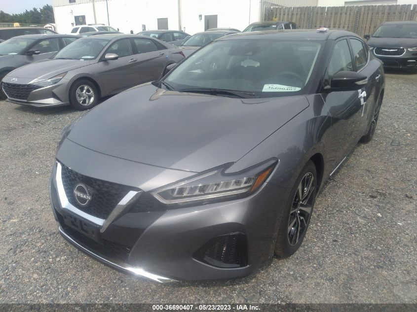 2023 NISSAN MAXIMA SV - 1N4AA6CV8PC509831