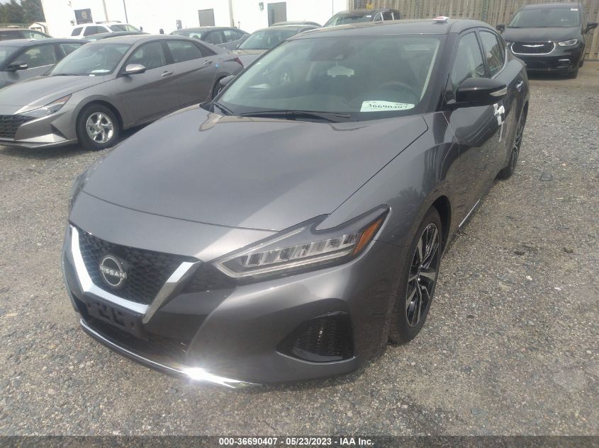 2023 NISSAN MAXIMA SV - 1N4AA6CV8PC509831