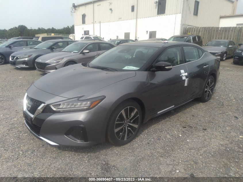 2023 NISSAN MAXIMA SV - 1N4AA6CV8PC509831