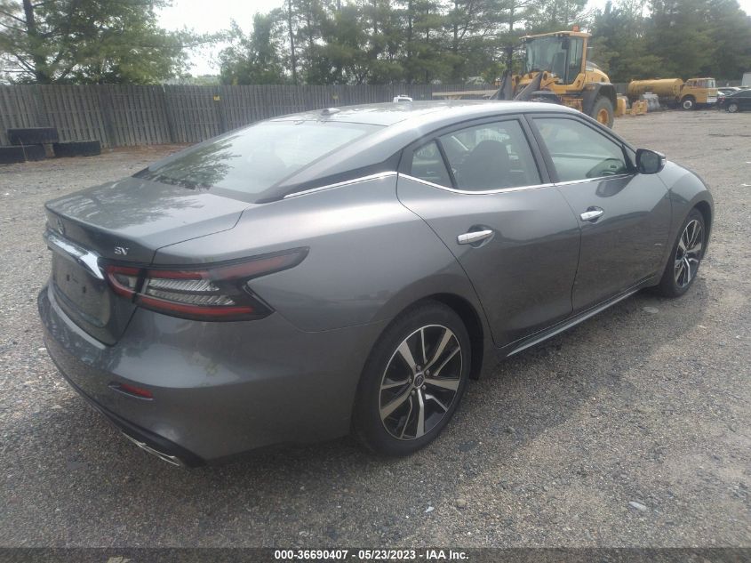 2023 NISSAN MAXIMA SV - 1N4AA6CV8PC509831