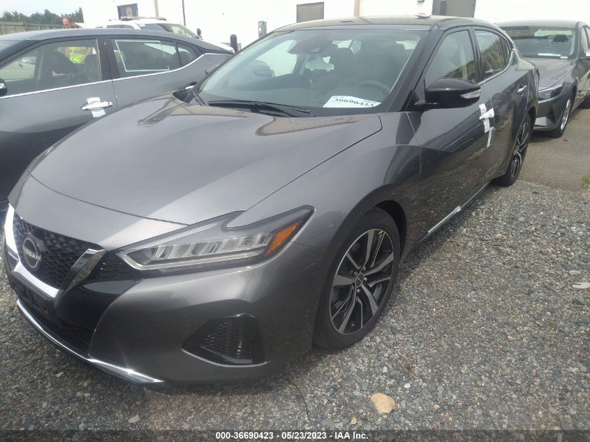 2023 NISSAN MAXIMA SV - 1N4AA6CV6PC509925