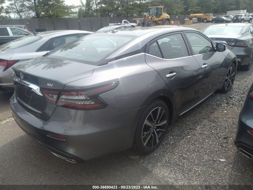 2023 NISSAN MAXIMA SV - 1N4AA6CV6PC509925
