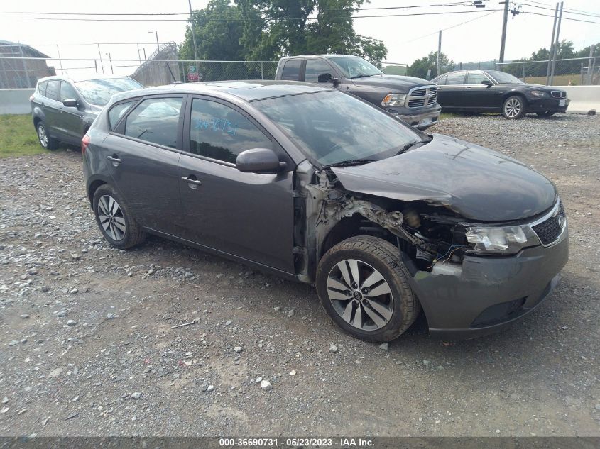 2013 KIA FORTE 5-DOOR EX - KNAFU5A24D5729345