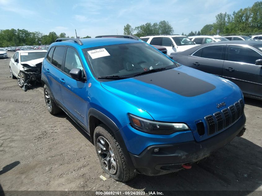 2019 JEEP CHEROKEE TRAILHAWK - 1C4PJMBXXKD246255