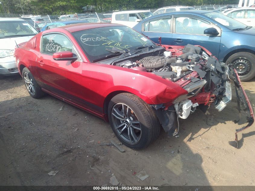 2013 FORD MUSTANG V6 - 1ZVBP8AM2D5224946