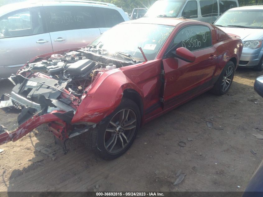2013 FORD MUSTANG V6 - 1ZVBP8AM2D5224946