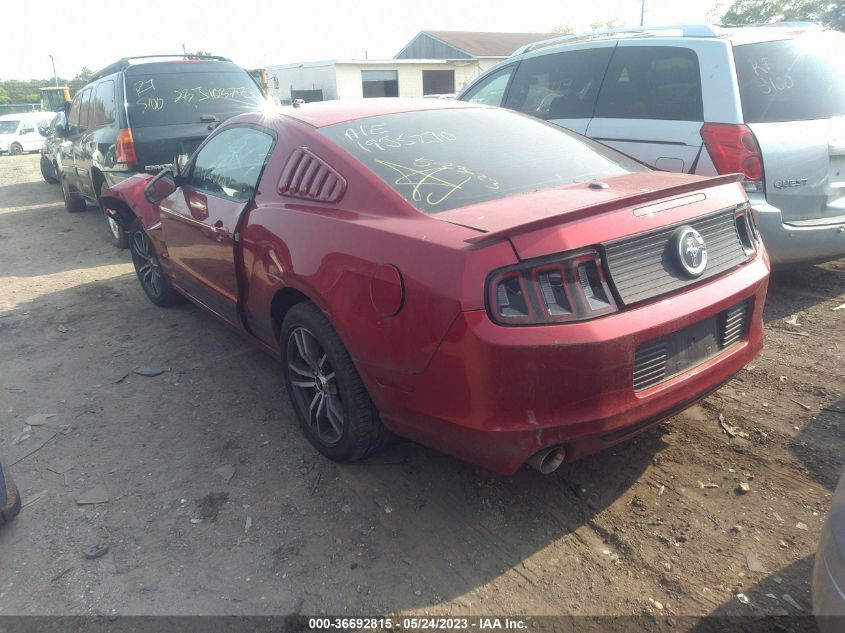 2013 FORD MUSTANG V6 - 1ZVBP8AM2D5224946