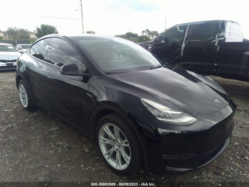 2022 TESLA MODEL Y - 7SAYGDEEXNF435145