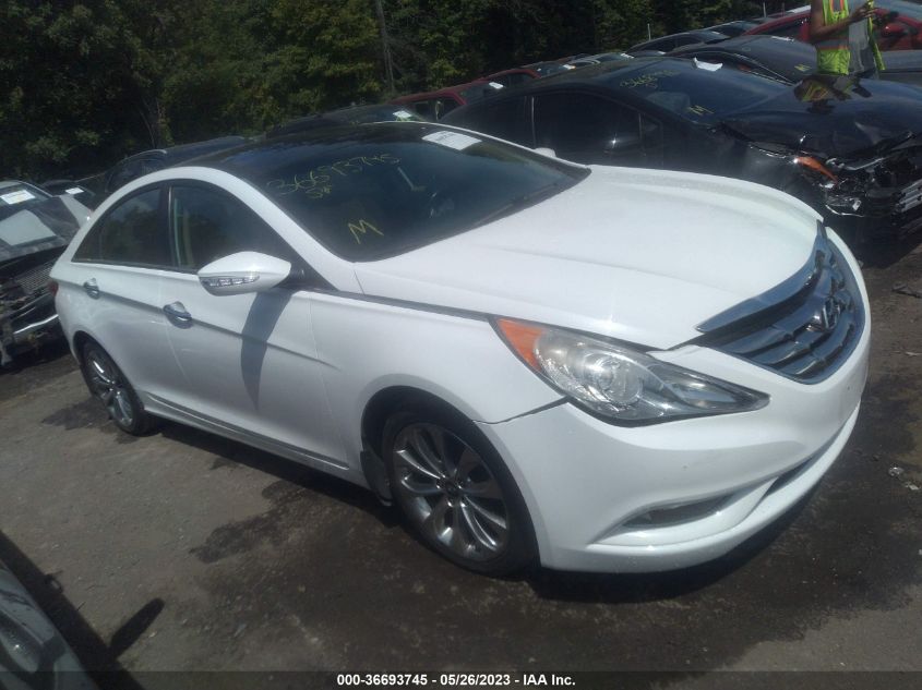 2013 HYUNDAI SONATA LIMITED - 5NPEC4AB6DH558545