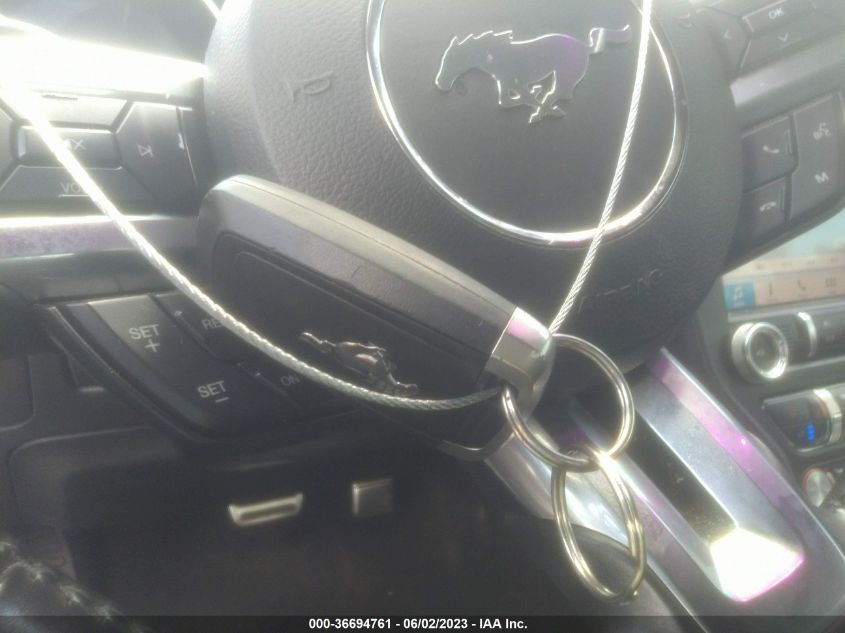 2019 FORD MUSTANG GT - 1FA6P8CF1K5150358