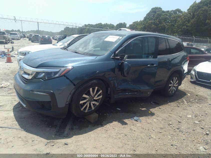2019 HONDA PILOT EX-L - 5FNYF6H59KB073327