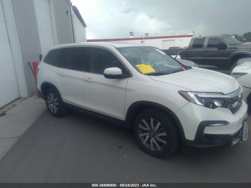 2019 HONDA PILOT EX-L - 5FNYF6H52KB022249