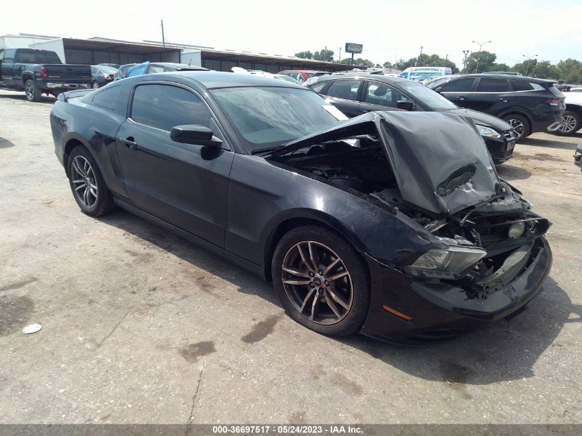 2013 FORD MUSTANG V6 - 1ZVBP8AM8D5241329