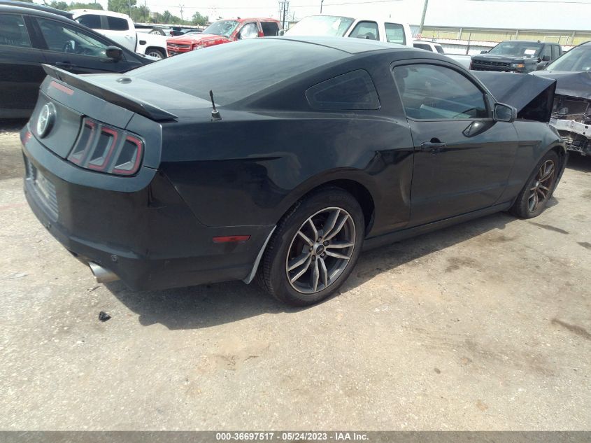 2013 FORD MUSTANG V6 - 1ZVBP8AM8D5241329