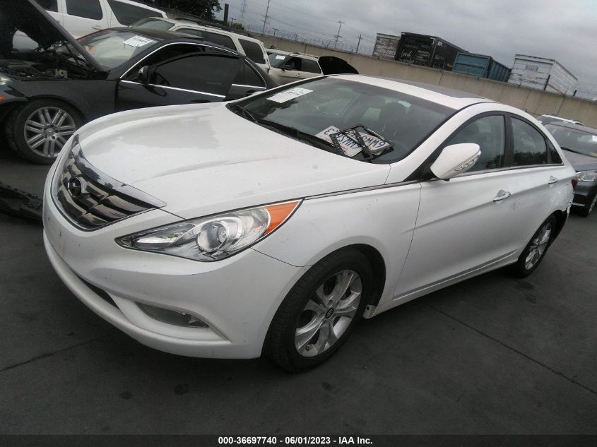 2013 HYUNDAI SONATA LIMITED PZEV - 5NPEC4AC4DH529781