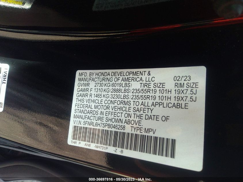 2023 HONDA ODYSSEY SPORT - 5FNRL6H75PB046258