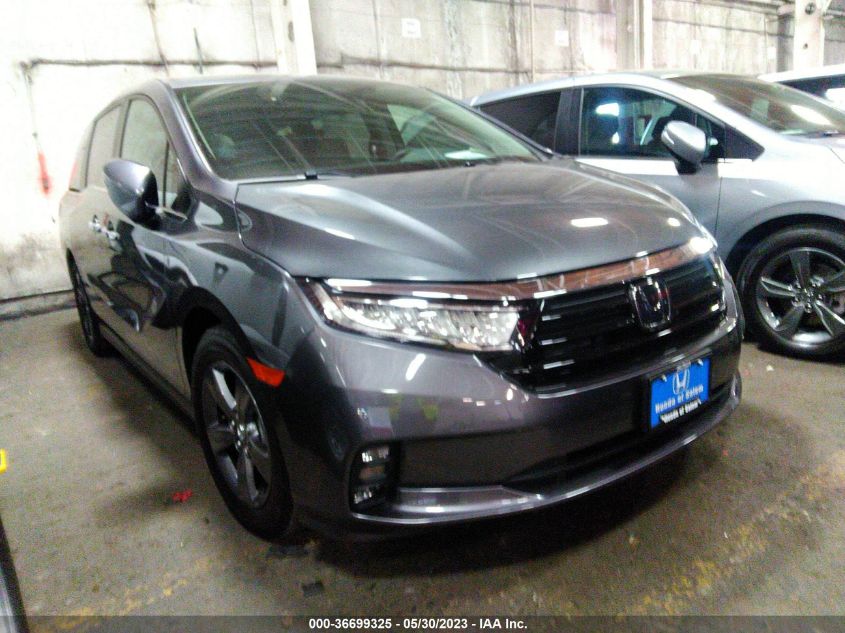 2023 HONDA ODYSSEY EX - 5FNRL6H54PB059341