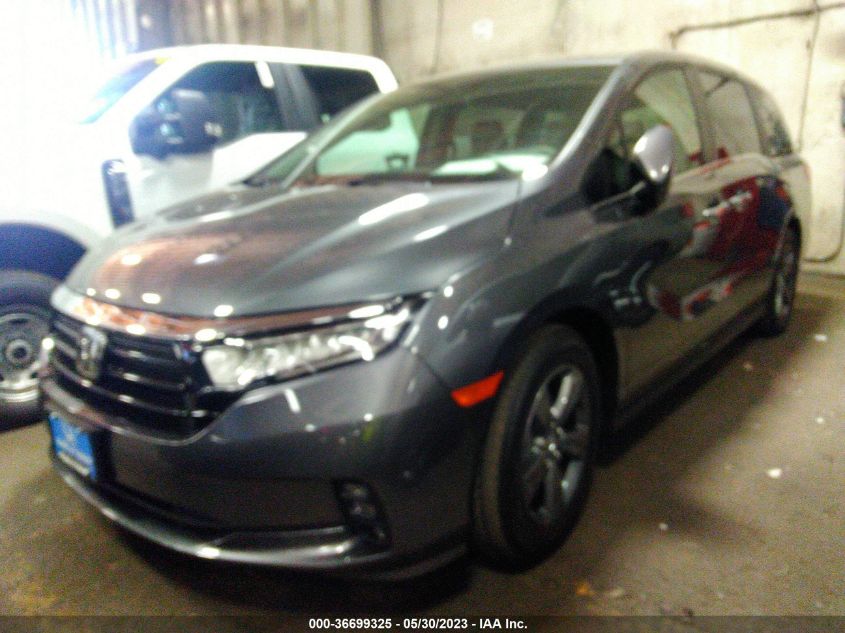 2023 HONDA ODYSSEY EX - 5FNRL6H54PB059341