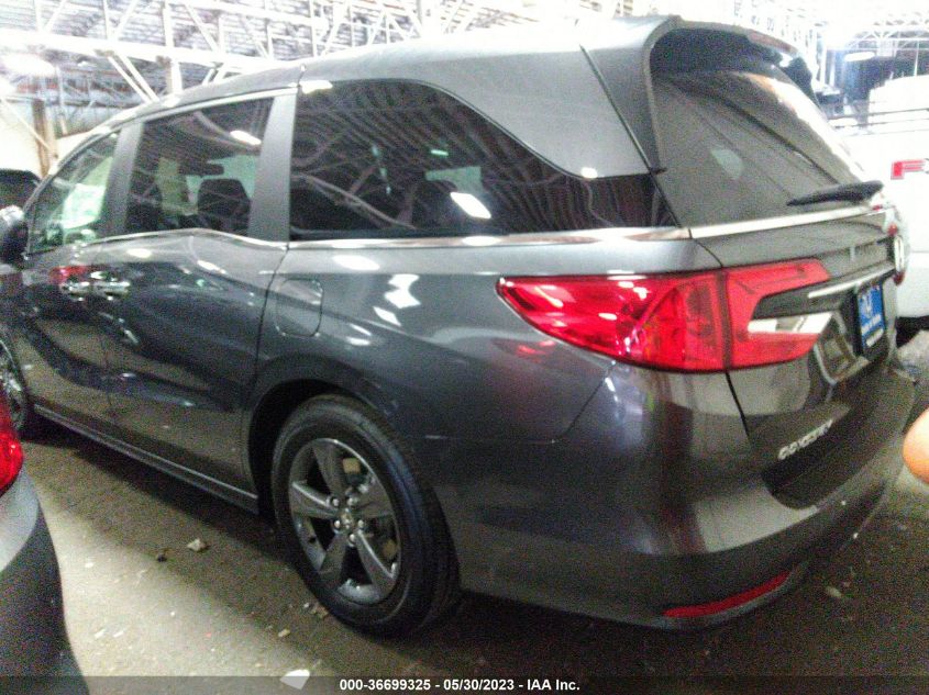 2023 HONDA ODYSSEY EX - 5FNRL6H54PB059341