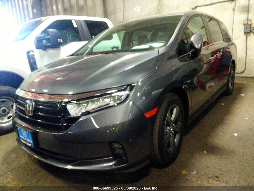 2023 HONDA ODYSSEY EX - 5FNRL6H54PB059341