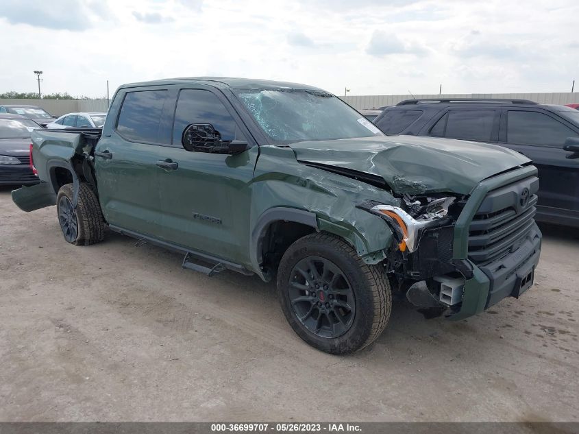 2023 TOYOTA TUNDRA 2WD SR5 - 5TFLA5AB5PX025520