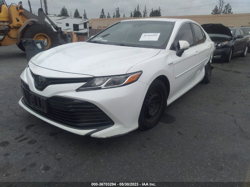 2019 TOYOTA CAMRY HYBRID - 4T1B31HK2KU513141